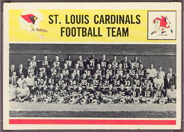 181 St Louis Cardinals Team Card